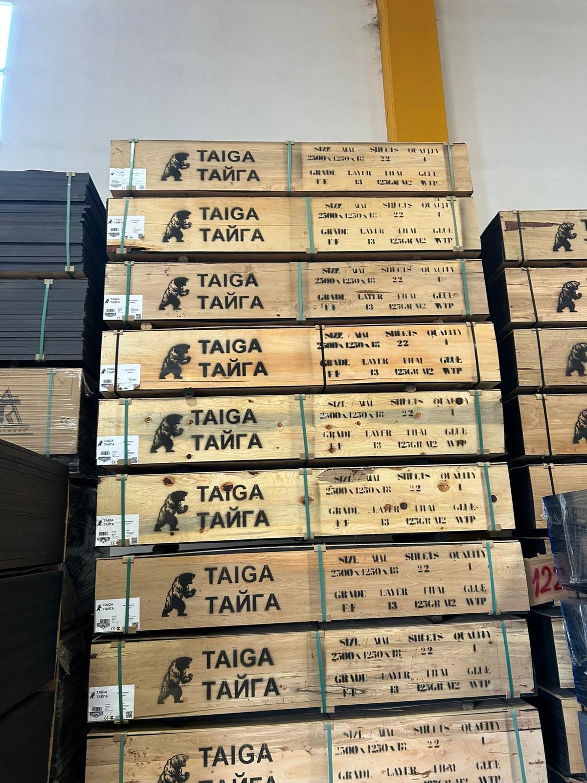 taiga